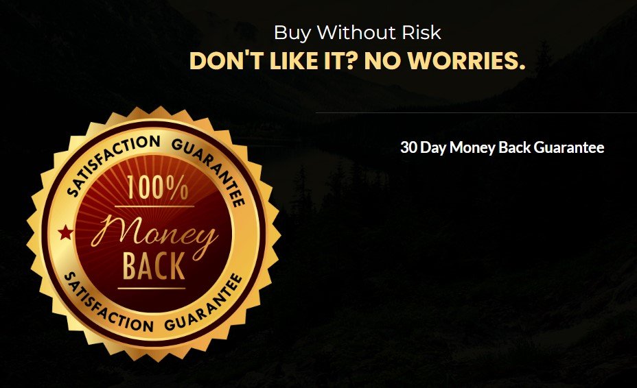AI Magic Money Pages Review