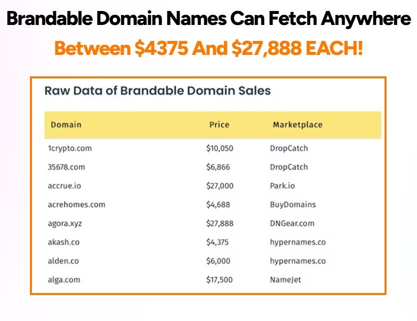 DomainRack 2.0 Review