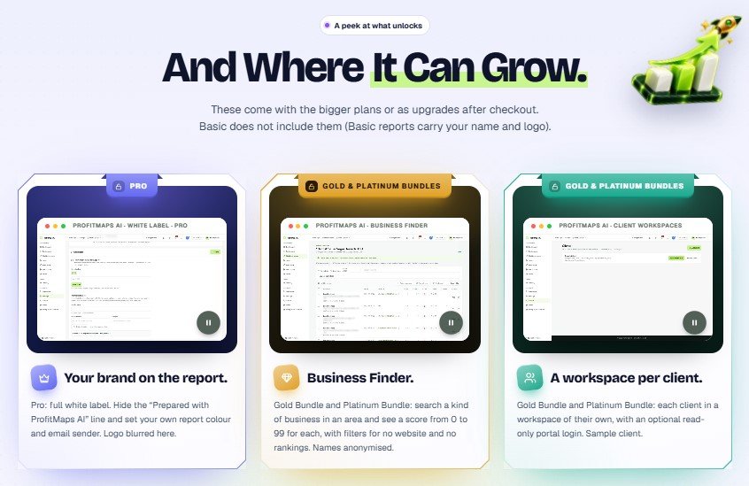ProfitMaps AI