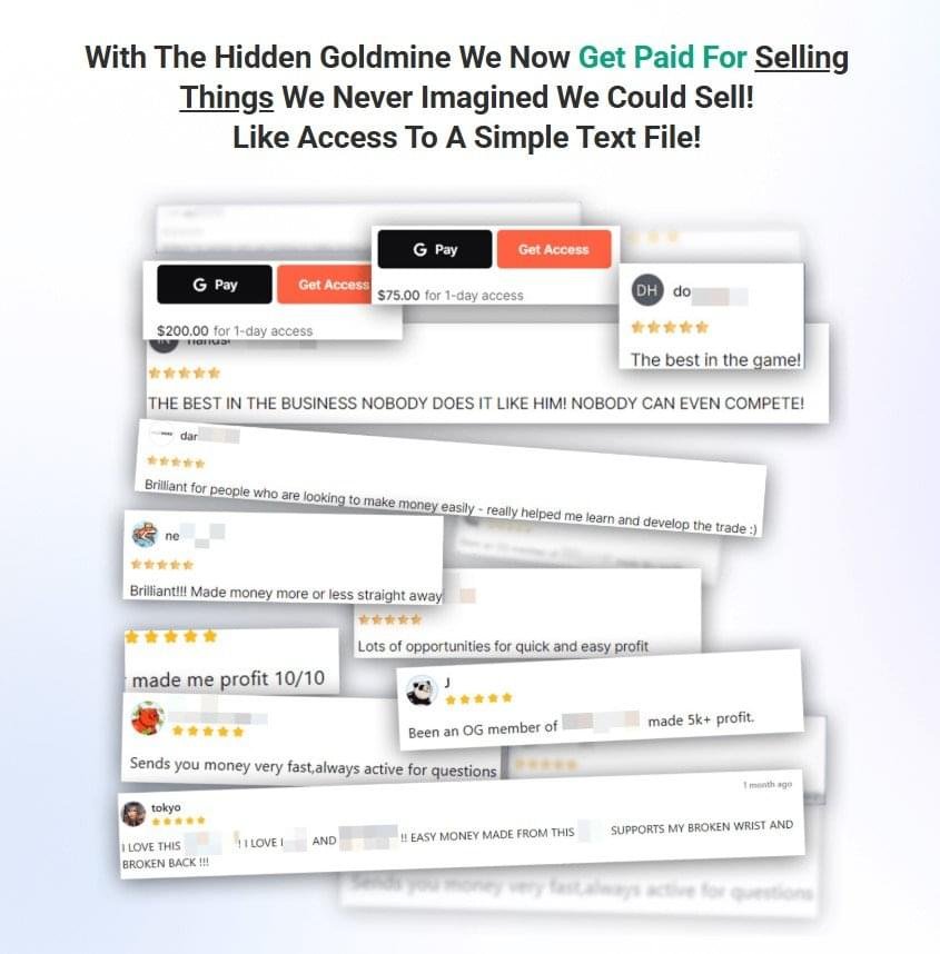 The Hidden Goldmine Review